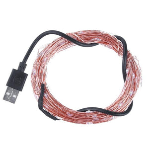 Decoration 10M 100 LED Light String USB