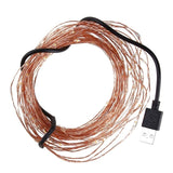 Decoration 10M 100 LED Light String USB