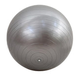 65cm Fitness Exercise Gym Fit Yoga Core Ball Multi-use Indoor